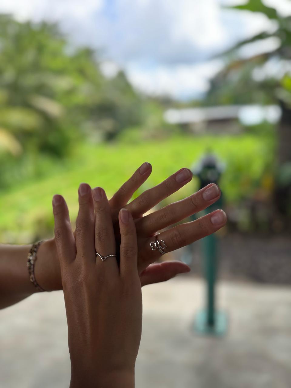 Description of image 3